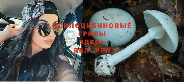 кокаин перу Алексин