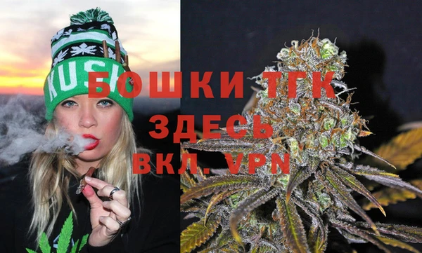 тгк Алексеевка